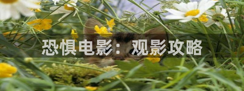 新闻图片